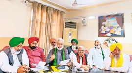 farm law, indian express