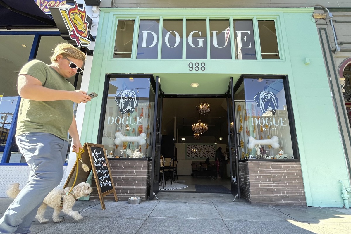 dogue, dogue restaurant, dogue restaurant san fransisco