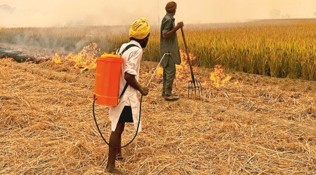 farmers news, farm fires news, indian express