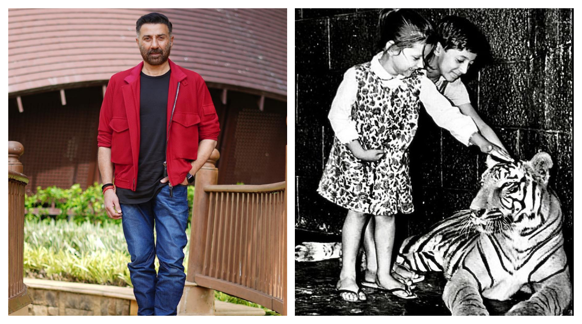 1200px x 667px - When little Sunny Deol visited his father Dharmendra's film set to meet a  tiger | Bollywood News - The Indian Express