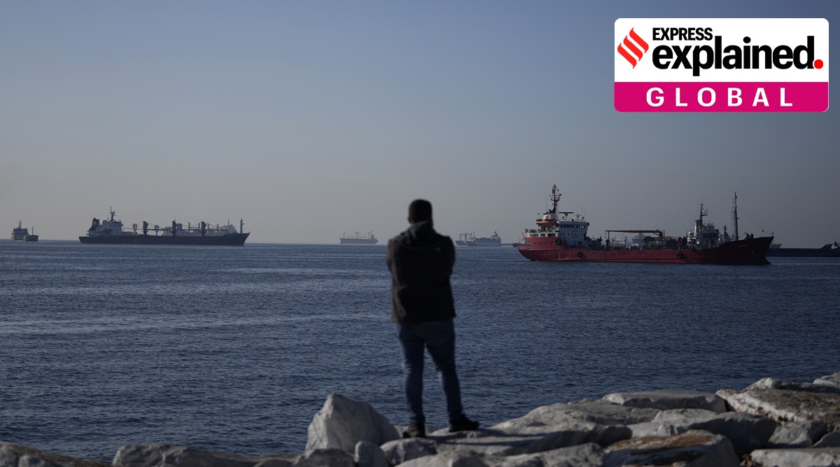 Cargo ships anchored in the Marmara Sea.