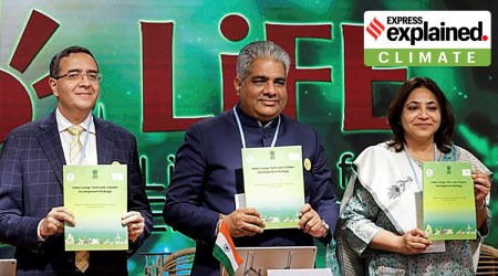 Union Cabinet Minister for Environment, Forest & Climate Change, Bhupender Yadav, at COP27 in Sharm el-Sheikh, Egypt, on Monday. (Reuters)