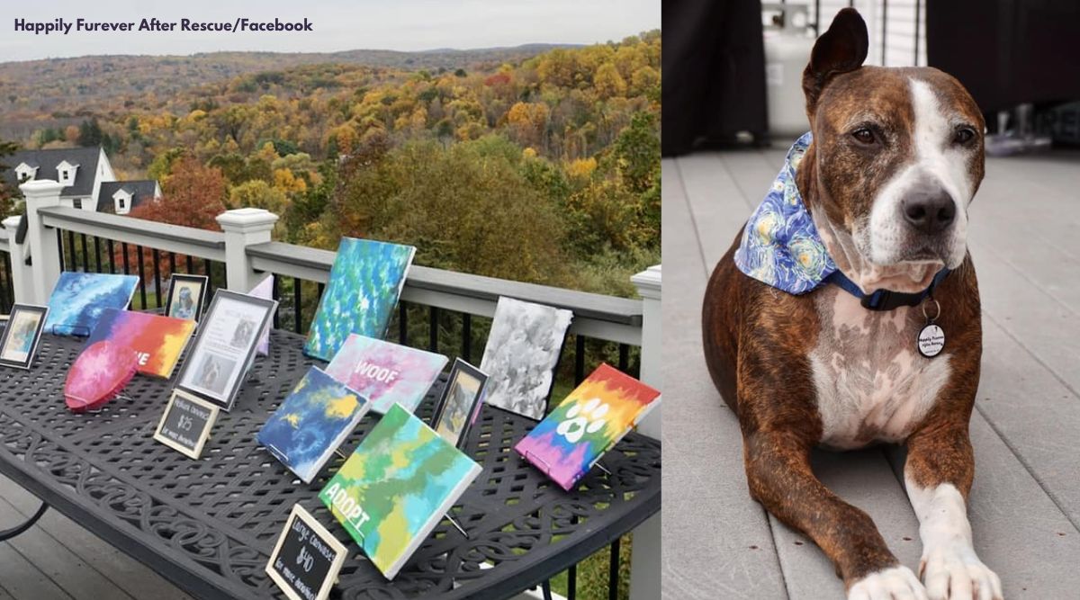 Watch: One-eared dog Van Gogh has netizens impressed with his painting skills | Trending News