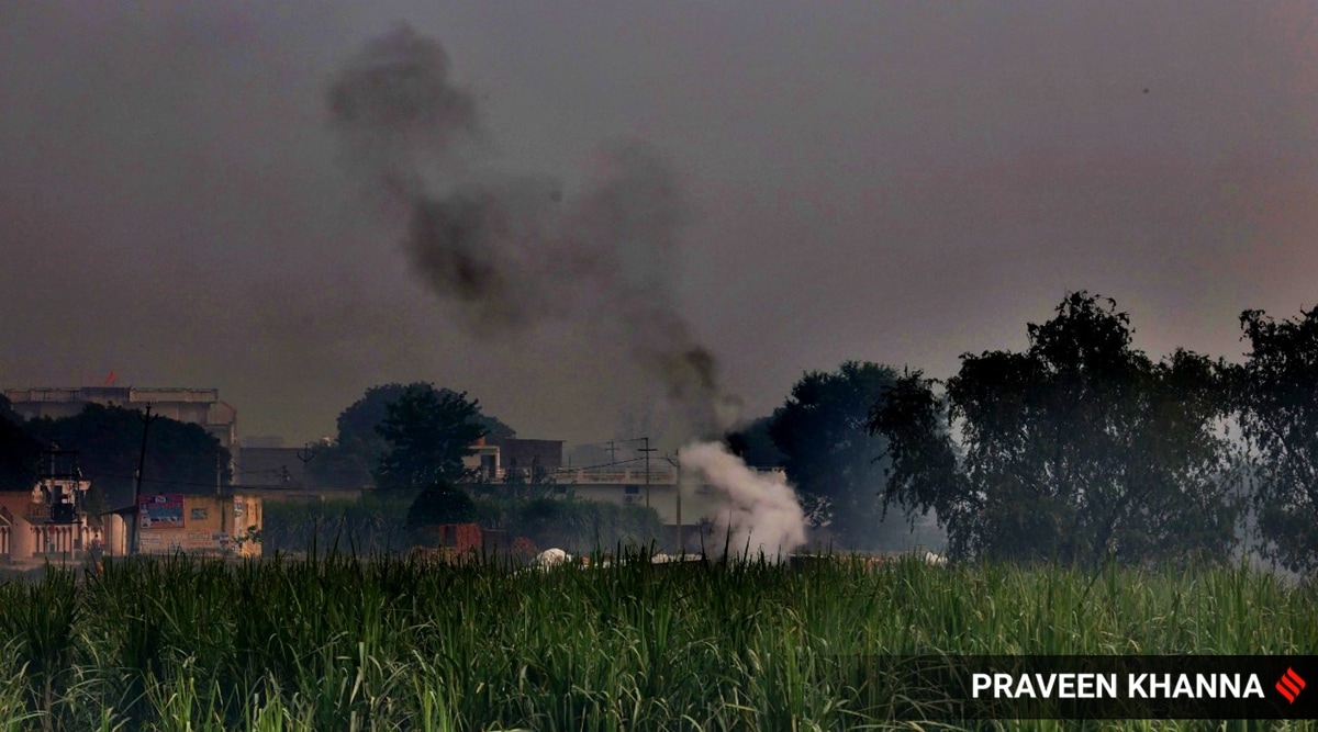 Delhi News Highlights Construction activities stopped across Delhi