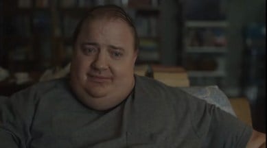 the whale