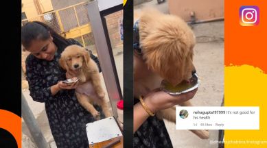 Alia Dog Gal Vidoe Xxx - Woman feeds puppy 'golgappas' from roadside vendor. Netizens criticise dog  owners | Trending News,The Indian Express