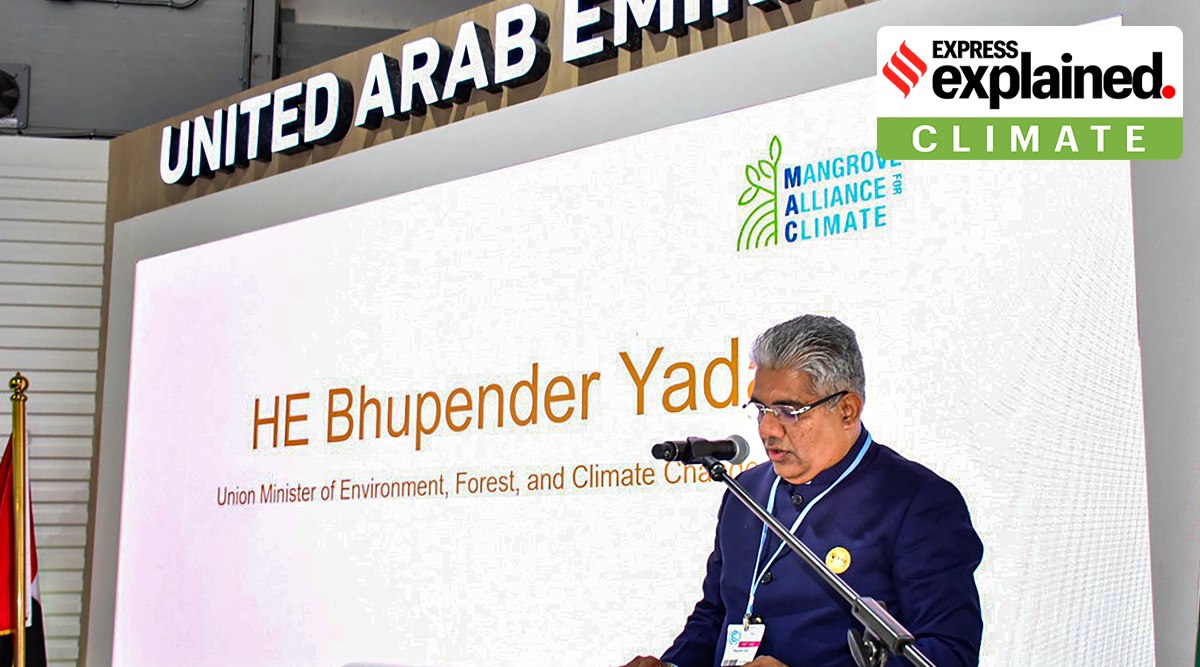 Union Minister for Environment, Forest & Climate Change Bhupender Yadav speaks at the Launch of the Mangrove Alliance for Climate (MAC) at COP 27, in Sharm el-Sheikh, Egypt, Tuesday, Nov. 8, 2022. (PTI Photo)
