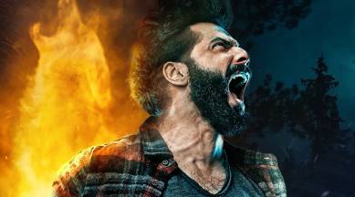 bhediya box office