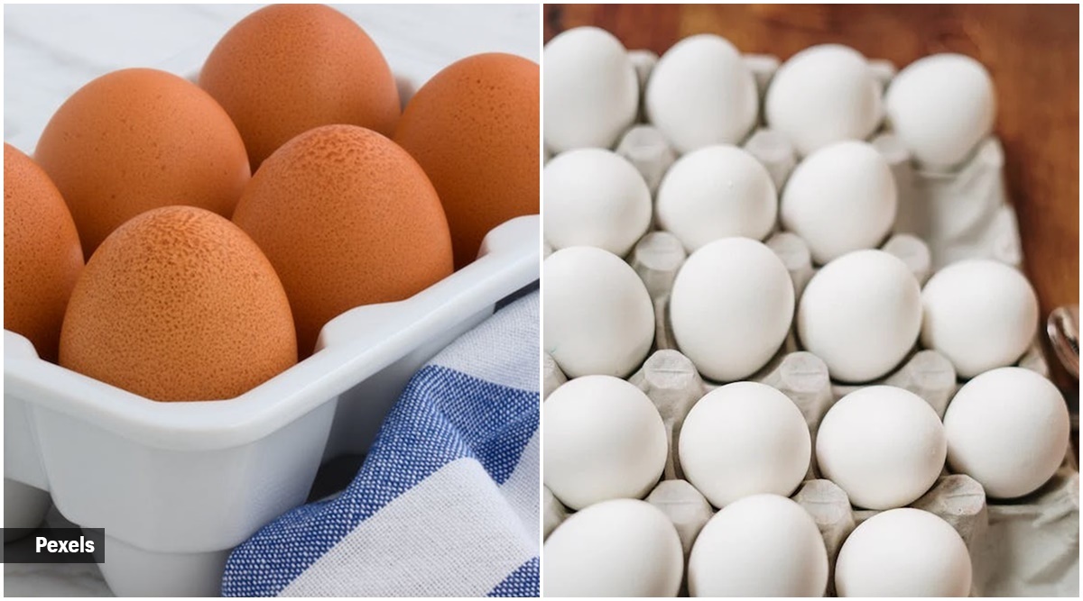 Brown or white egg: Which is healthier? | Lifestyle News,The Indian Express