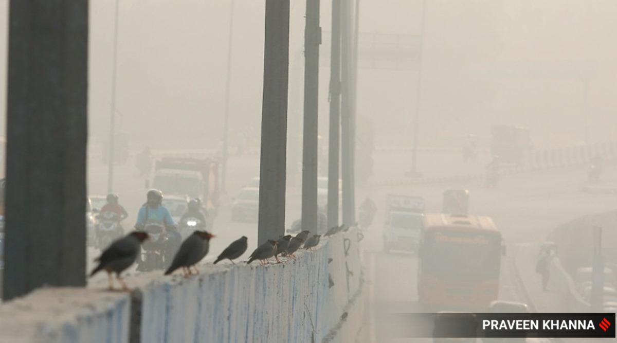 Use anti-smog guns at Delhi construction sites, says Commission for Air Quality Management