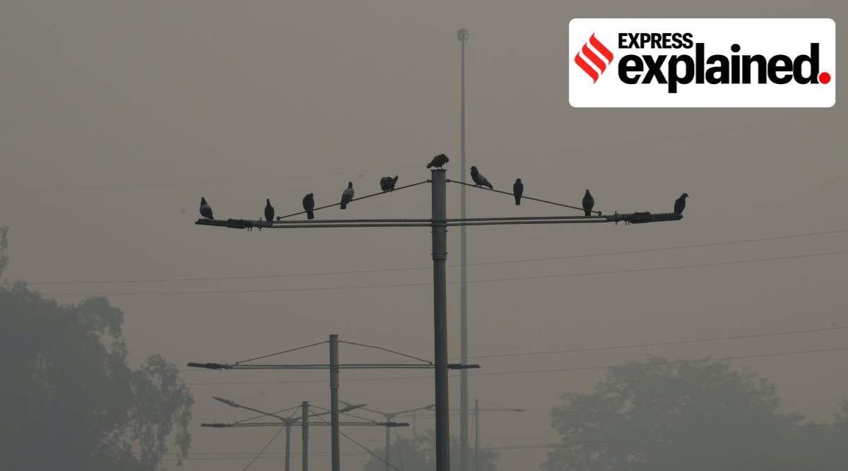 delhi pollution, pollution in delhi, delhi AQI, delhi air quality, delhi news, Indian Express