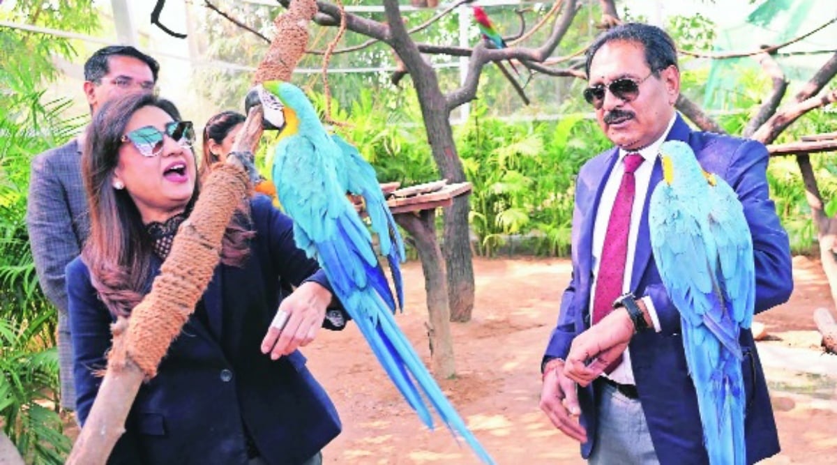 chandigarh news, dharam pal news, sports policy news, indian express