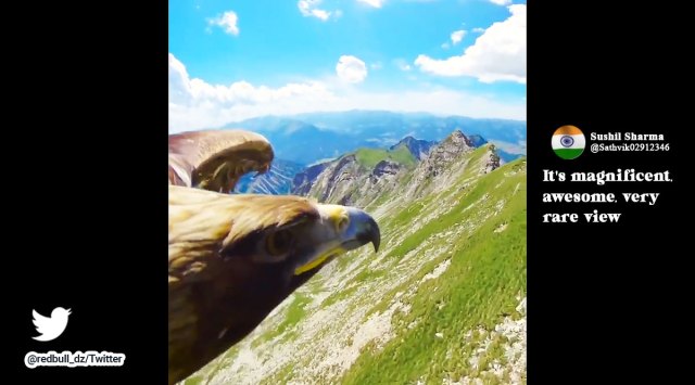 Anand Mahindra, Anand Mahindra tweets, camera attached to eagle alps view, eagle captures view of alps mountains through mini camera, Red Bull eagle camera, Indian express