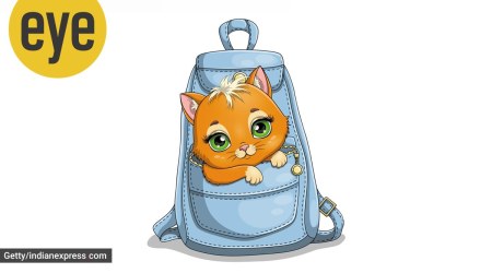 Zeenat's Bag (Credit: Getty Images)