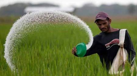 A farmer from Jalandhar said that many a time they had to buy these non-required products just to get the required fertilisers.
(Representational Photo)