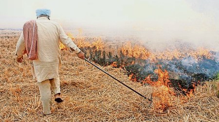 Punjab farm fires, punjab stubble burning, Ludhiana Punjab Remote Sensing Centre, crop residue management, Punjab news, Chandigarh, Indian Express, current affairs