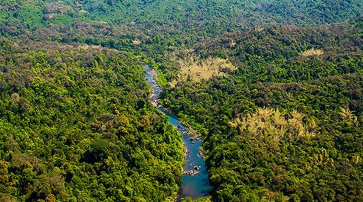 Greens see red over proposed road passing through ESZ of Bhimgad wildlife  sanctuary | Bangalore News - The Indian Express