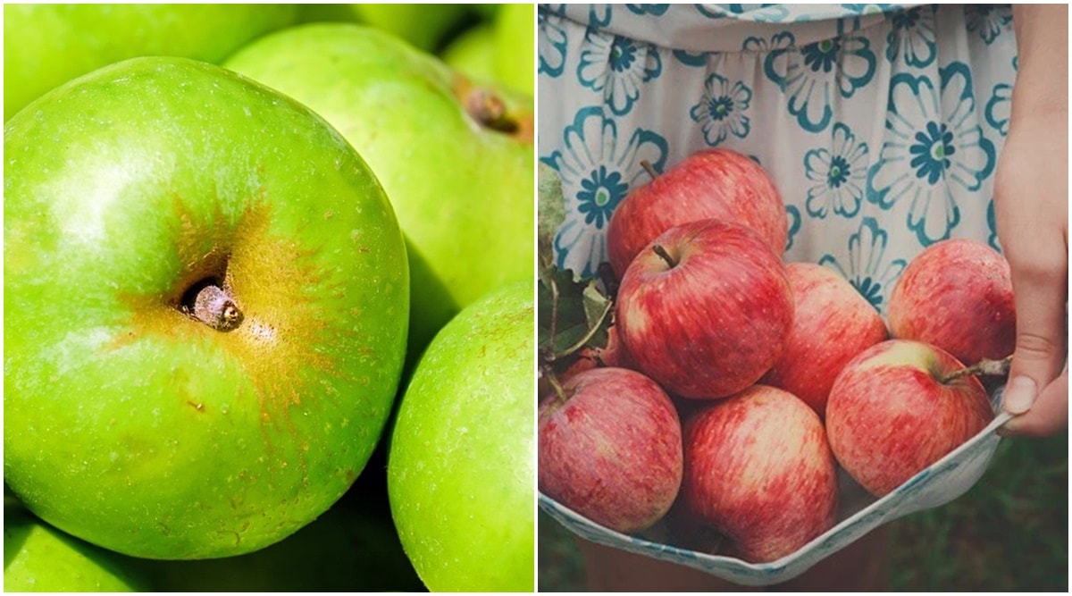 Green vs red apple: Which is healthier? | Lifestyle News,The ...