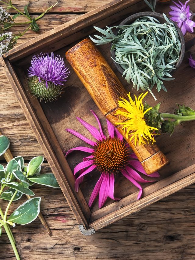 Ayurvedic herbs for acne The Indian Express