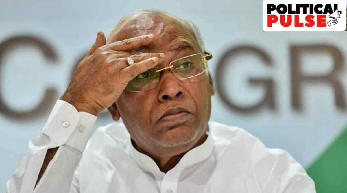 Addressing a rally in Gujarat's Behrampura area on Monday night, Kharge said in every election, votes are sought in the name of Modi instead of local candidates or the performance of government. (File)