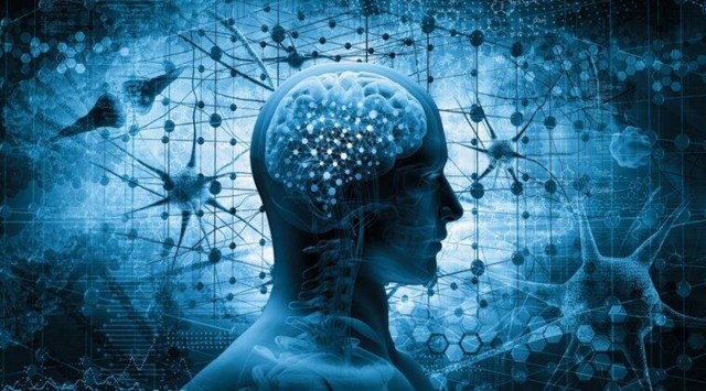 In Ayurveda, the ability of the brain to carry out various cognitive processes, such as memorising, thinking creatively, and recalling power, is called medha, or intellect. (File photo)