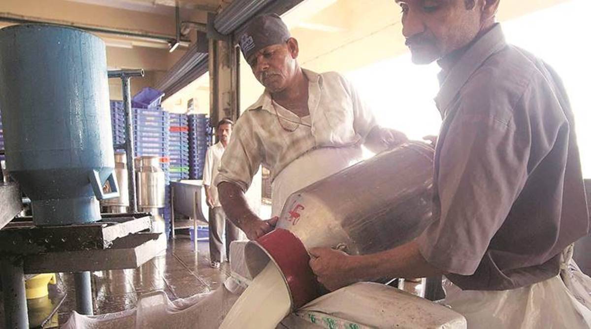 Pay Rs 2 More For Nandini Milk Curd In Karnataka From Today Bangalore News The Indian Express