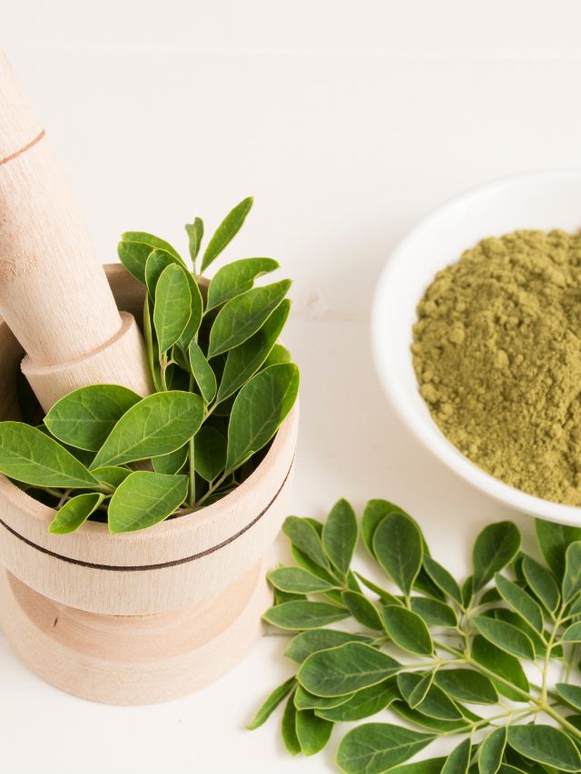 What parts of moringa is beneficial? | The Indian Express