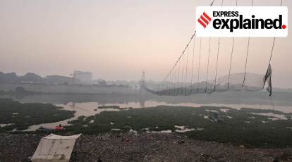 Rope Bridge at Rs 68000/piece in New Delhi