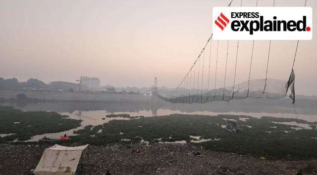 In Morbi, the vertical cables seem to have snapped entirely from the deck at one end of the bridge, sending part of the unsuspended deck and those on it plunging into the river. (Express Photo by Nirmal Harindran)