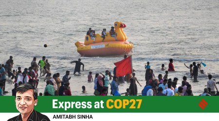 People play in the waters of Arabian Sea at Juhu Beach in Mumbai, November 13, 2022. (PTI)