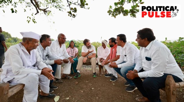 During the yatra, Rahul Gandhi will visit Ujjain's Mahakaleshwar Temple and go to the birthplaces of tribal leader Tantya Bhil in Khandwa and B R Ambedkar in Indore's Mhow. (Twitter @INCIndia)