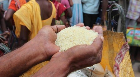 non basmati rice ban news, indian express