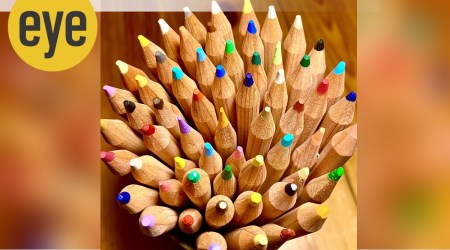 Schools should be places that nurture diversity. (Credit: Shelja Sen)