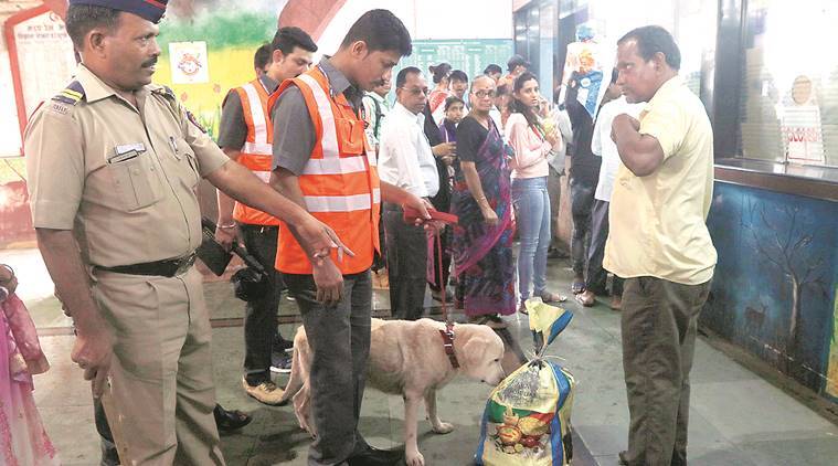 ncb sniffer dogs, Narcotics Control Bureau NCB sniffer dogs, sniffer dogs, Mumbai news, Maharashtra, Maharashtra government, Indian Express, current affairs