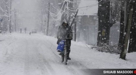 The Ganderbal District Magistrate did not respond to calls or text messages seeking his comment on the order. (File Photo)