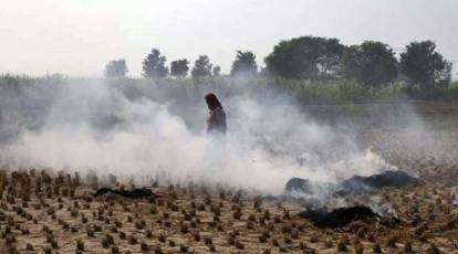 Old Jee Farm Sex - Field report: Why farmers are still burning stubble despite machines being  available | Cities News,The Indian Express