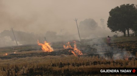 Stubble burning in Rahti Mouran village in Patiala district. (Express photo by Gajendra Yadav)