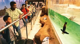 Byculla Zoo, Mumbai Byculla zoo, Byculla botanical park, Mumbai news, Maharashtra, Indian Express, current affairs