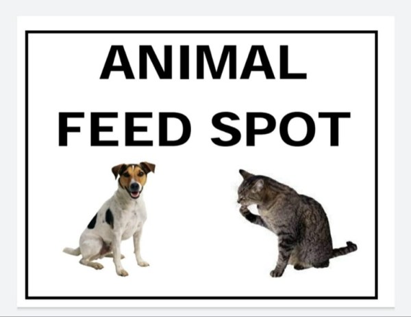 On Jamia campus, canteens operators directed to feed stray animals daily at dedicated spots | The Indian Express On Jamia campus, canteens operators directed to feed stray animals daily at dedicated spots | The Indian Express