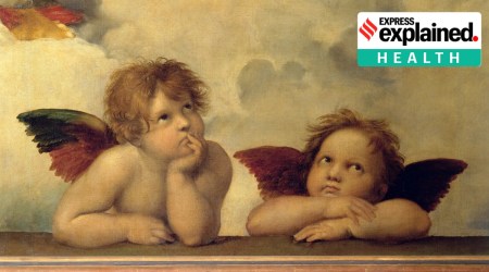 Buccal Fat, indian express