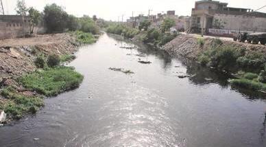 Project to rejuvenate Buddha Nullah: Testing begins at newly constructed STP in Ludhiana