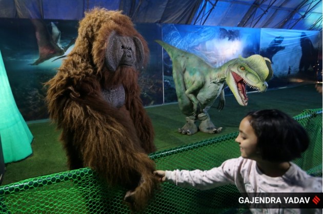 dinosaur exhibition