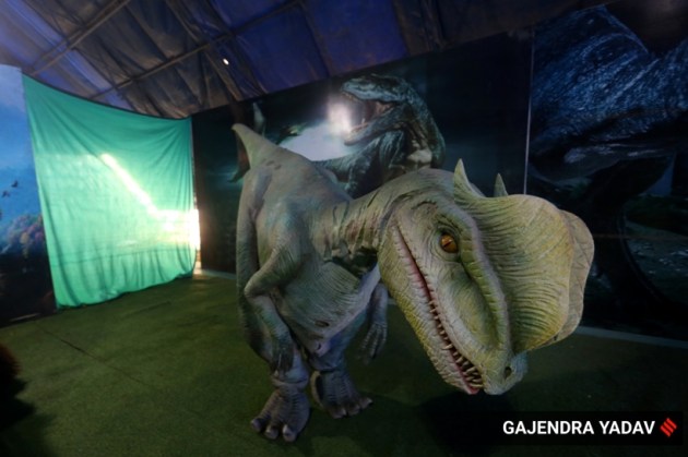 dinosaur exhibition