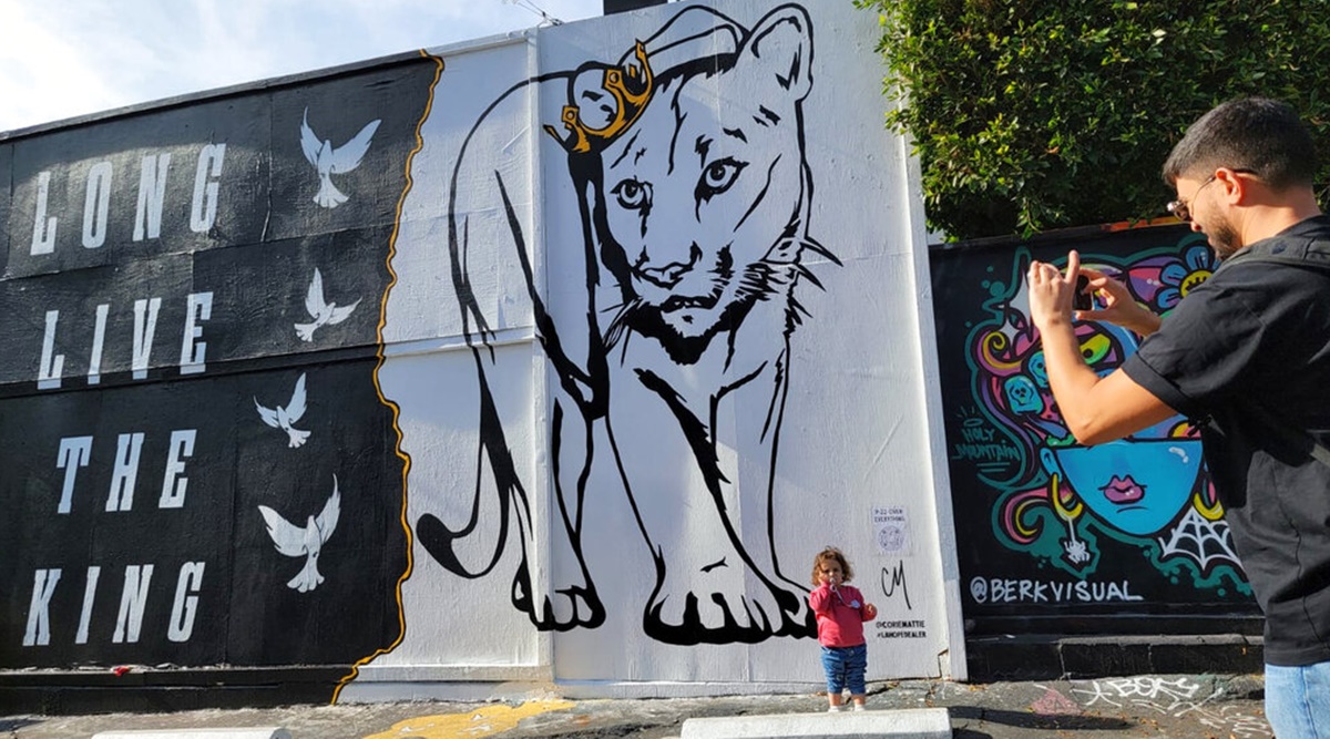 New mural painted in memory of LA's famed mountain lion ...