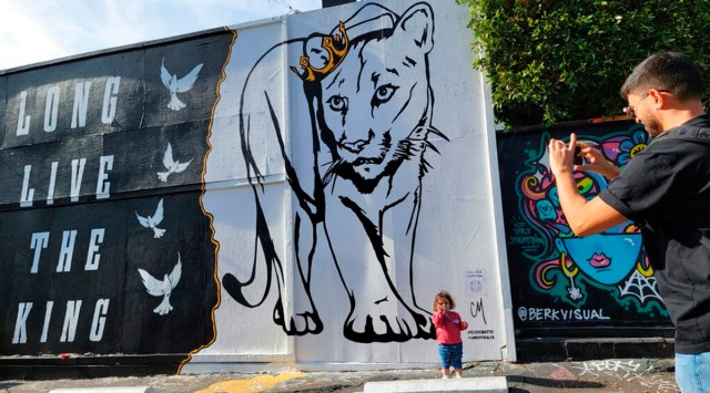 street mural, street mural LA, mountain lion street mural, P-22 celebrated mountain lion, artwork, indian express news