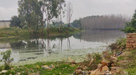 Aksheev 1_12 (1) no alt set