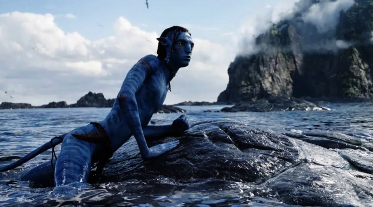 Avatar The Way of Water Box Office Avatar The Way of Water anticipates  525 million global box office debut  The Economic Times