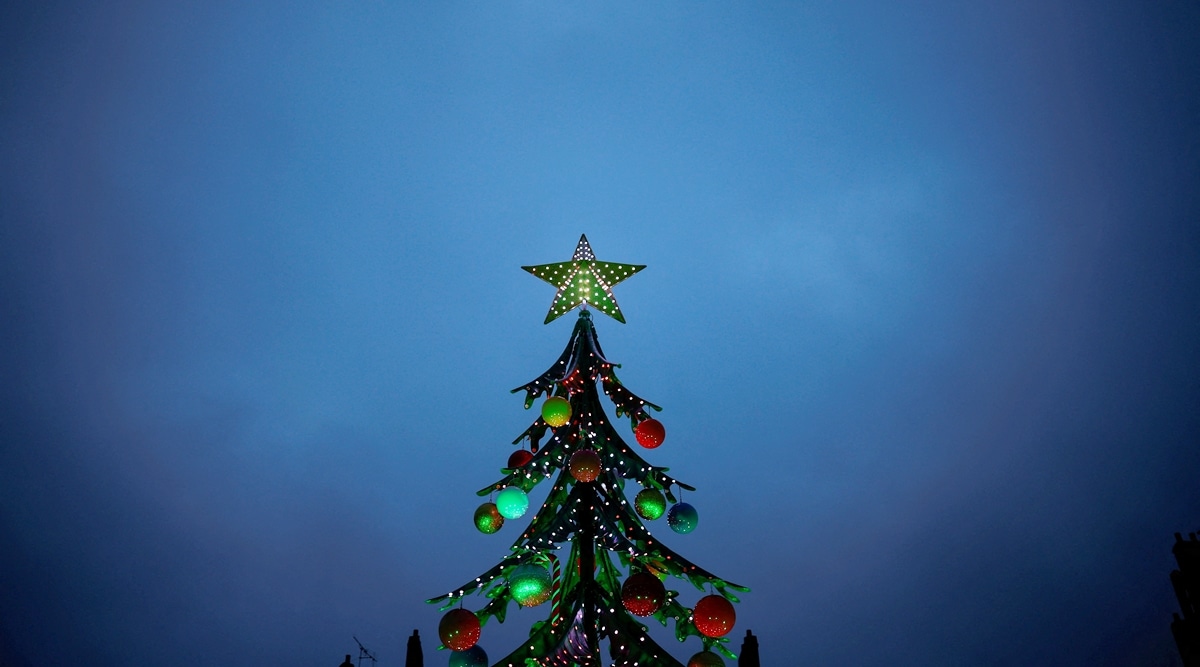 Best photos this week: Stars, Christmas trees come up as world gears up ...