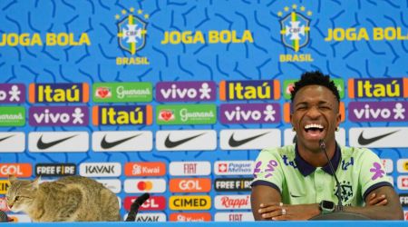 Watch: Vinicius Jr joined by a cat during his press conference