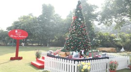 Chandigarh Christmas